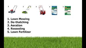 When the weeds far outnumber the grass blades in your lawn, it's time to take action. Lawn Maintenance Dethatching Aeration Reseeding And Lawn Fertilizer Youtube