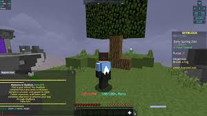 On pvp servers you need to aware of the potential risk of getting killed by other players and your gear looted. Servers Like Hypixel Skyblock