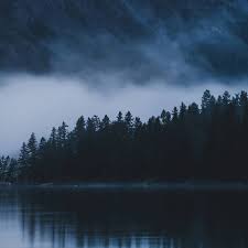 Image result for Medium Water Blue 1991 Shadow