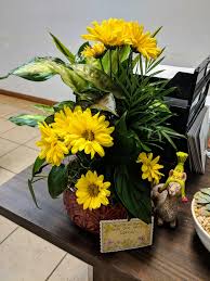 When may blooms, you know it's time to find the perfect flowers for mom. In The Middle Of A Terrible Weekend Day Someone Had Flowers Delivered To Me At Work No Name Just A Note That Says You Are So Loved And Are Very Special I Have