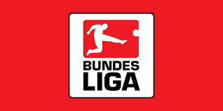 Image result for bundesliga logo 2015