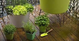 Mettez en place le substrat de plantation. Creer Une Jardiniere D Aromatiques Pour Une Exposition Peu Ensoleillee M6 Deco Fr