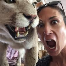 Meghan Morris (@megzymorris)