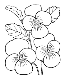 These spring coloring pages are sure to get the kids in the mood for warmer weather. Easy Coloring Pages For Adults Coloring Pages For Kids