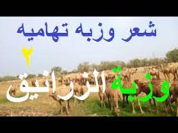 مؤسسة تهامة الحلول لتجارة تعمل في مجال بيع وتوزيع مستلزمات تغليف الأطعمة. ÙˆØ²Ø¨Ø© Ø§Ù„Ø§Ø¹Ø±Ø§Ø³ ÙÙŠ ØªÙ‡Ø§Ù…Ø© Ù…Ø¬Ø²Ø±Ø© Ù…Ø±ÙˆØ¹Ø© ØªØ­Ø¯Ø« Ø§Ù„Ø§Ù† ÙÙŠ Ù…Ø¯ÙŠÙ†Ø© Ù…Ø£Ø±Ø¨ Underrated Wallpaper