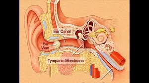 Learn more about earwax and common complications. The Good The Bad And The Eww Of Earwax Removal Wsj
