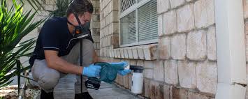 Poisons can cause the mice to die inside your walls, where their decaying bodies. Pest Control Gold Coast Termite Treatment Bug Squad