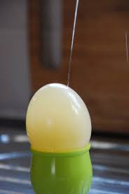 In the egg osmosis lab we are going to use the egg as our cell. Find Out How To Shrink An Egg And Make It Grow Again