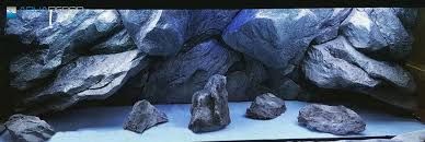 Massive Rocks 3d Aquarium Backgrounds Aquadecor Goruntuler Ile Akvaryum