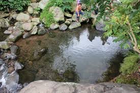 Terjemahan frasa kolam air panas dari bahasa indonesia ke bahasa inggris dan contoh penggunaan kolam air panas dalam kalimat fumarol, kolam lumpur dan sumber air panas, dan tanahnya berwarna kuning cerah, merah, dan hijau. Ulasan Pemandian Air Panas Tarikolot Fatahilaharis