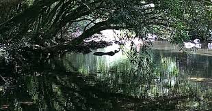 2014 8東北角之旅 雙溪小鎮 虎豹潭 不厭亭 深澳海岬 jimmy的部落格 痞客邦