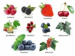 Berries This Looks Like The Graphics From Easypacelearning Com Enseigner L Anglais Enseignement Education