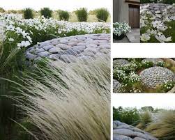 Edith Katz Principal Landscape Architect Lola Desert Landscaping Modern Landscaping Landscaping Tips
