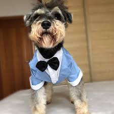 Pin Auf Hochzeit In Hellblau