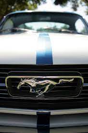 Mustang With Racing Stripes Mustang Ford Mustang Dream Cars