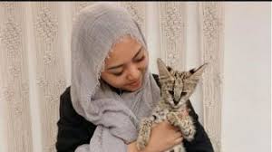 Beberapa orang mengatakan jika kucing dalam mimpi merupakan simbol dari intuisi dan kesehatannya merupakan tanda apakah orang. Dari Dikejar Sampai Digigit Ini Arti Mimpi Terkait Kucing