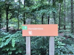 Bekijk 45 onpartijdige beoordelingen van boschlust, gewaardeerd als 4 van 5 bij tripadvisor en als nr. Honden Los In Elfbergen Te Oudemirdum