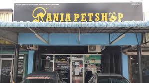 Like dan follow page ini untuk cerita, gambar dan video kucing yang menarik. Kedai Kucing Senarai Kedai Kucing Seluruh Malaysia 2021