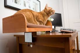 This Cool And Very Stylish Cat Lounger Is Constructed Of Solid Pine Wood And Is Available Stained In Birch Cherry Or Mahogany Finishes Cat Bed Cat Perch Cats