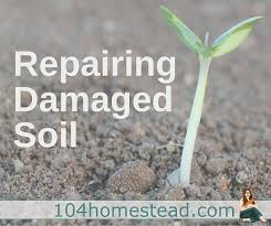 We did not find results for: Repairing Damaged Soil