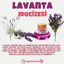 Lavanta 2020 Saglik Ve Fitness Lavanta Saglik
