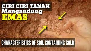 Inilah ciri ciri dan cara mudah menemukan tanah yg mengandung emas. Anda Wajib Tahu Ciri Ciri Tanah Yang Mengandung Banyak Kadar Emasnya Diy Gold Nugget Indonesia Youtube