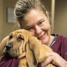 BEST of Kannapolis, NC Veterinarians