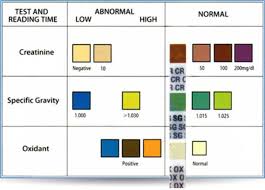 51 All Inclusive Abnormal Urine Color Chart