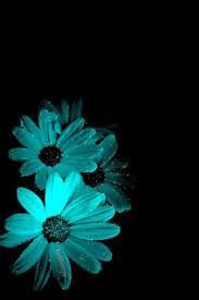 Nail the exact color tiffany blue in your design by using the code from any one of these systems for color identification. Tumblr Tiffany Blue Wallpaper Novocom Top