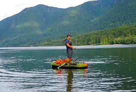 Image result for sea eagle packfish 7