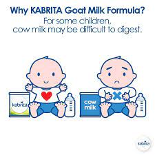 Smaller, softer, and looser milk curds in the tummy, like those associated goat milk protein, may be easier to digest. Goat Milk Vs Cow Milk Digestion How Long Does It Take To Digest Milk Goat Milk Formula Goat Milk Kabrita Goat Milk