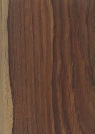 Image result for Dalbergia bracteolata