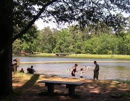 To this day, new braunfels has a strong flavor of the old world, perfectly balanced with the small town texas charm. Double Lake Recreation Area Sam Houston National Forest New Waverly Tx Living New Deal