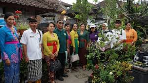 We did not find results for: Jadi Wahana Edukatif Ciptakan Pemanfaatan Pekarangan Rumah Pkk Kota Denpasar Gelar Lomba Hatinya Pkk Denpasarkota Go Id