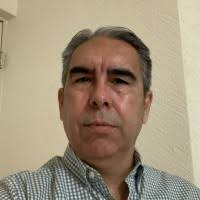 800+ perfiles de «Noé»