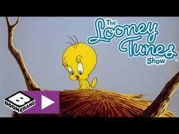 Sevimli Kahramanlar Galiba Bir Kedi Gordum Boomerang Youtube Looney Tunes Scooby Doo Entertainment