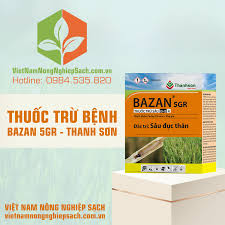 Bazan 5GR
