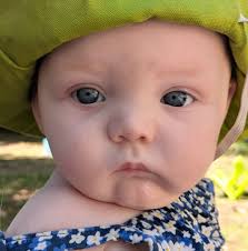 Deana Collins Currie