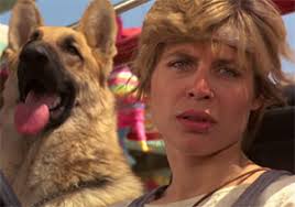 Newsletter du 07/12/2024