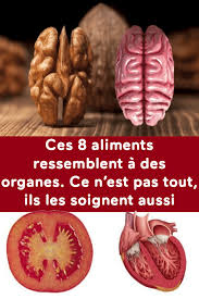Ces 8 Aliments Ressemblent A Des Organes Ce N Est Pas Tout Ils Les Soignent Aussi Food Healthy Nutrition