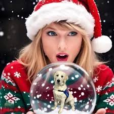 How to nominate a Swiftie family in need for a magical Christmas gift?