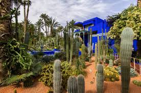 Jardin majorelle wordt gehost door jardine majorelle. Jardin Majorelle Marrakesh Morocco Attractions Lonely Planet