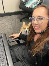 Working dogs are amazing