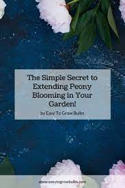 Top quality vegetable, herb and flower seeds for the market & home gardener. Easy To Grow Bulbs Easytogrowbulbs Profile Pinterest