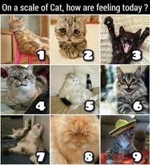 How are you feeling today. Which One Are You Today Memes Posts Facebook