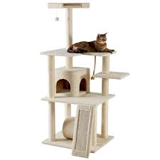 He wasn't tall or small or fat or skinny, just average build. Cat Tree Buying Guide How To Find The Best Cat Tree For Your Pet Bechewy