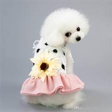 Es macht die person, die es trägt, zur wichtigsten frau des tages. Grosshandel Sommer Hundegeschirr Kleid Haustier Hundebekleidung Fur Kleine Hunde Hochzeitskleid Rock Welpen Kleidung Fruhling Haustier Kleidung Mit Sonnenblume Von Happy Home1 8 52 Auf De Dhgate Com Dhgate