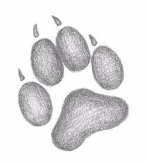 Pin Auf Dibujo De Lobo