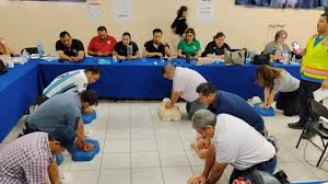 Secretaría de Educación y Cultura - Fortalece Secretaría de Educación y  Cultura capacitación sobre Protección Civil en escuelas de nivel básico