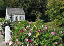 This apartment is located in the rural area of stokkem, just 1.7 miles from forest wouter. Dilsen Stokkem Belgien Tourismus In Dilsen Stokkem Tripadvisor